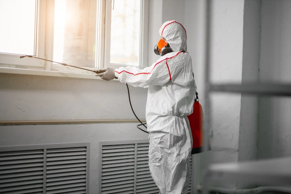 Professional mold remediation services in Sanford, FL